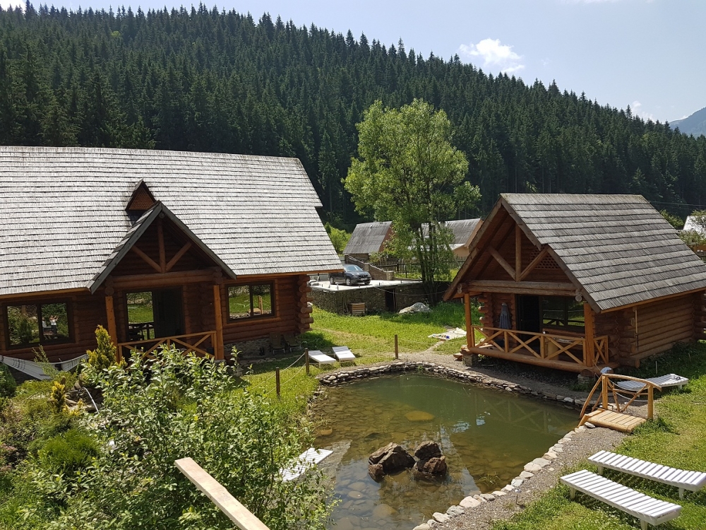 Будинок у Карпатах з озером та басейном #10