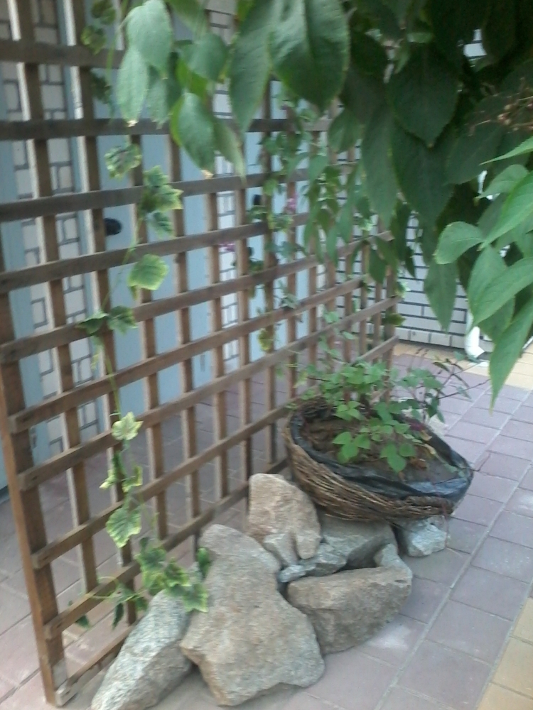 Частный сектор Гостевой дворик Причал,23 #31