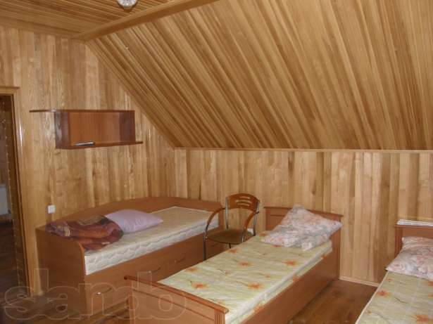 Коттедж в Карпатах возле Драгобрата #5