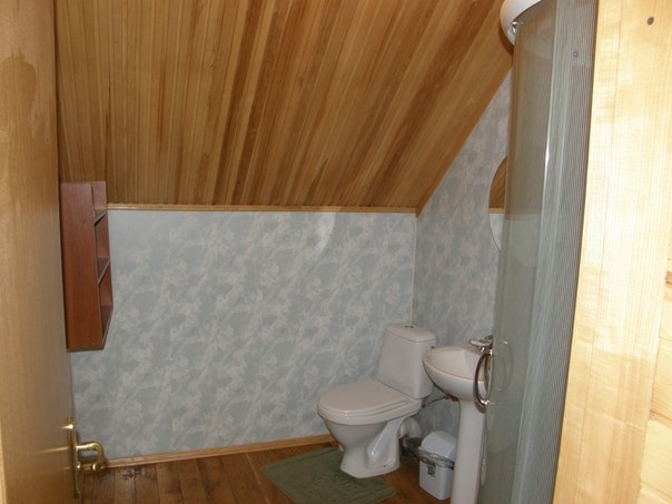 Коттедж в Карпатах возле Драгобрата #8