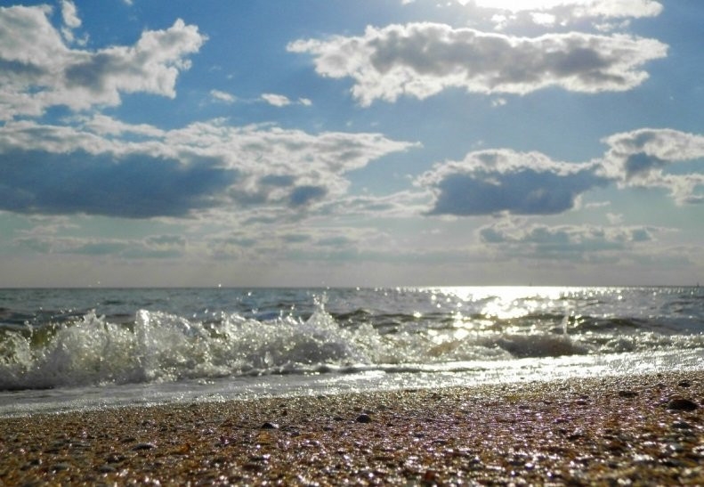 Сдам Домики у моря #5