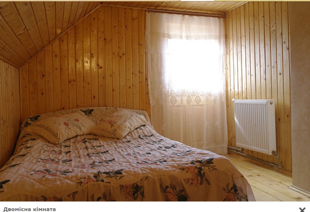 Двоповерховий дерев'яний котедж з каміном на 8-12... #5