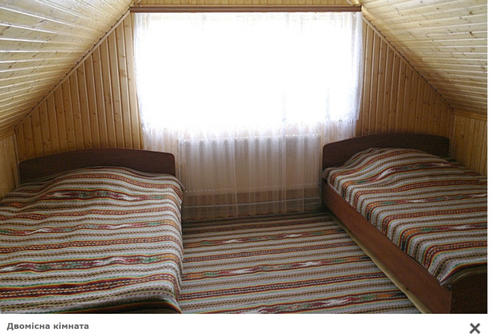 Двоповерховий дерев'яний котедж з каміном на 8-12... #6