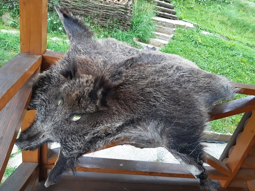 Коттедж для 6 человек (с банькой) #18