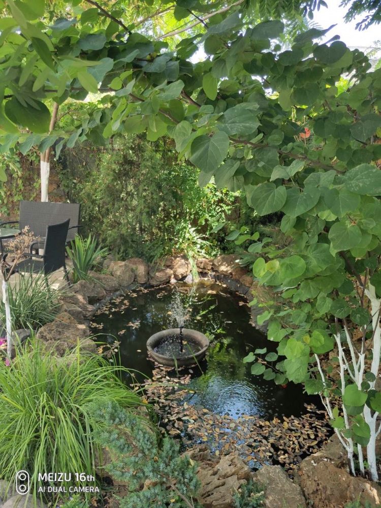 Дом, 4 номера, 4 санузла, район Аркадии. От хозяин... #5