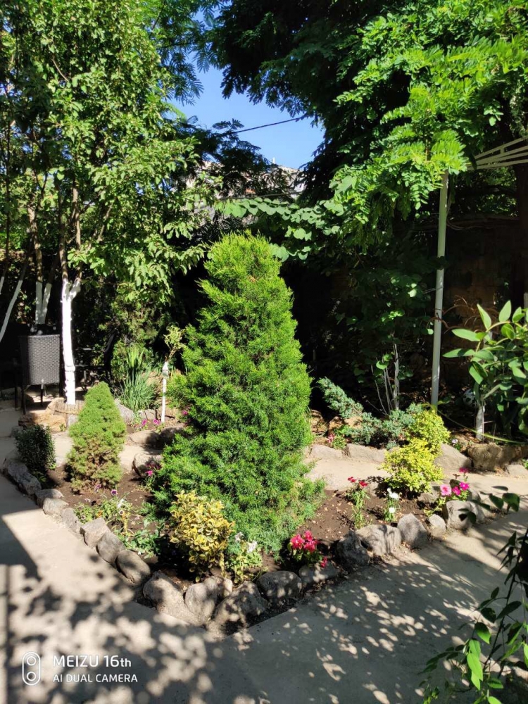 Дом, 4 номера, 4 санузла, район Аркадии. От хозяин... #13