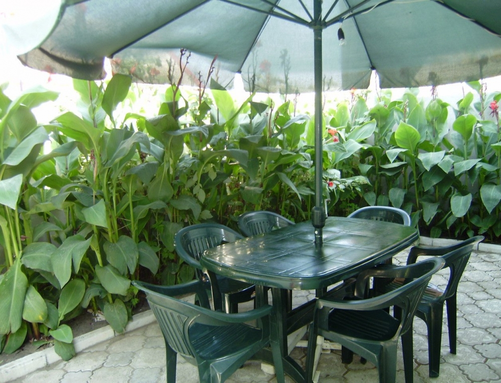 Отдых в Бердянске 2017 #2