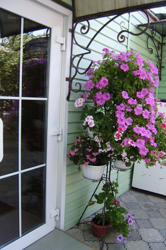 Отдых в Бердянске 2017 #4