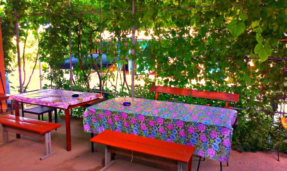 Отдых пгт Кирилловка, ул.Петровского #4