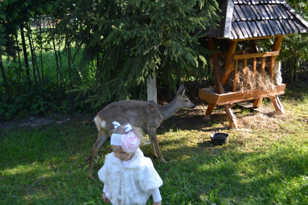 Комплекс отдыха 