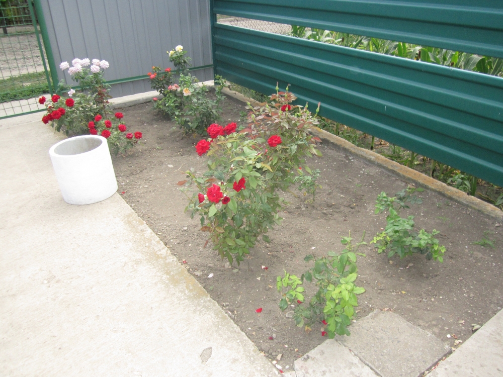 Гостевой дом 