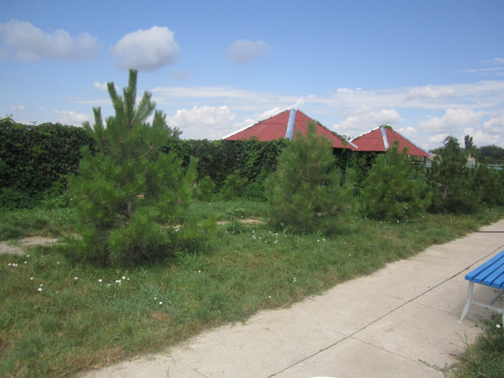 Гостевой дом 