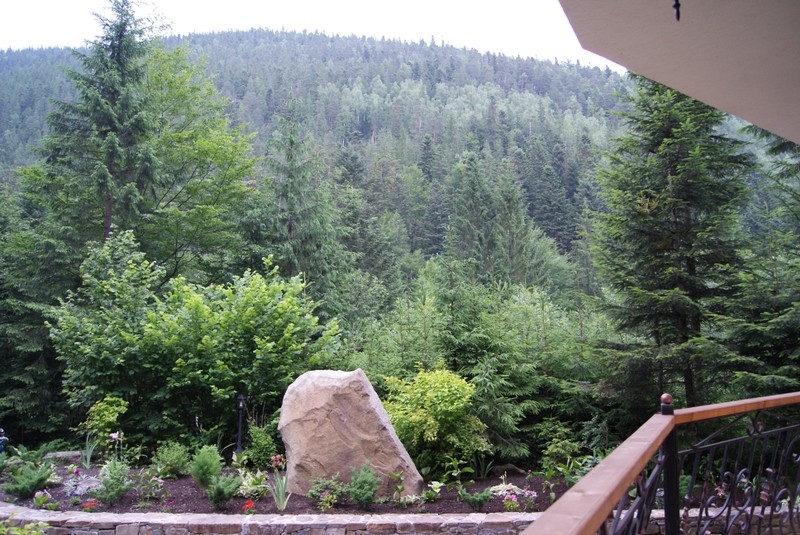  Отель «ДИКИЙ МЕД» #2