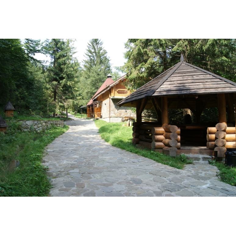  Отель «ДИКИЙ МЕД» #12