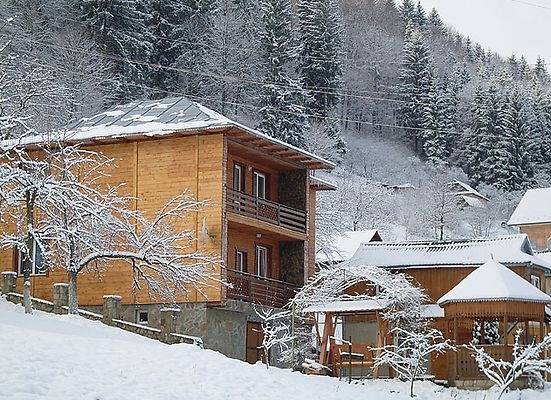 Частная усадьба Древоцвіт #7