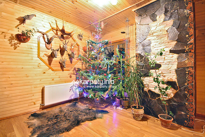 Частная усадьба 