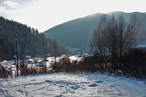 Отель «Піги» #20