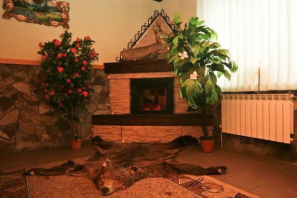 Отель «Загадка Карпат» #8