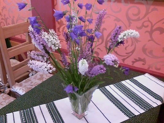 База отдыха 