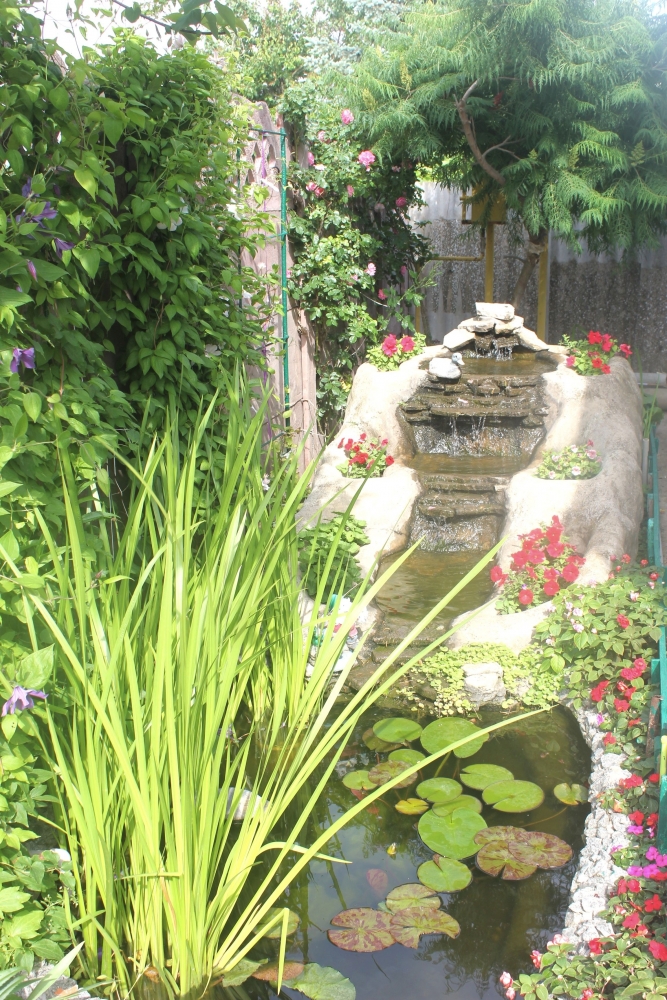 Гостевой дом «ГАРМОНИЯ» #3