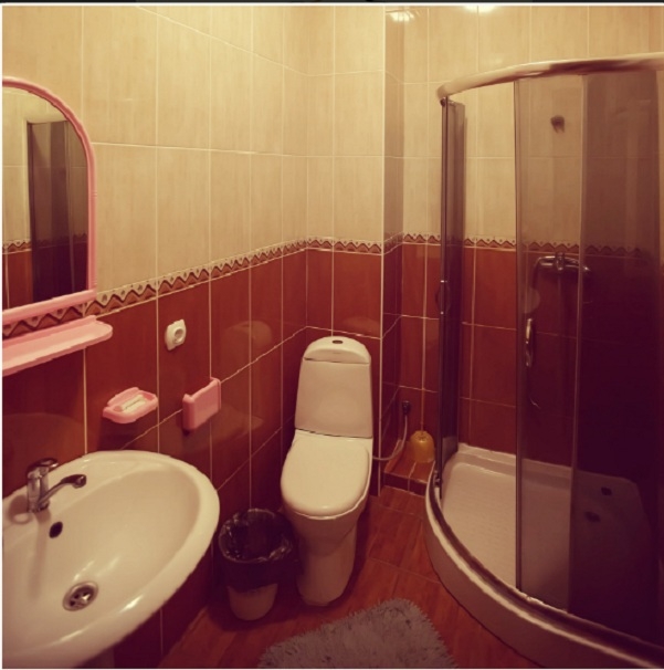 Готель. Номери стандарт, люкс та напівлюкс. #4