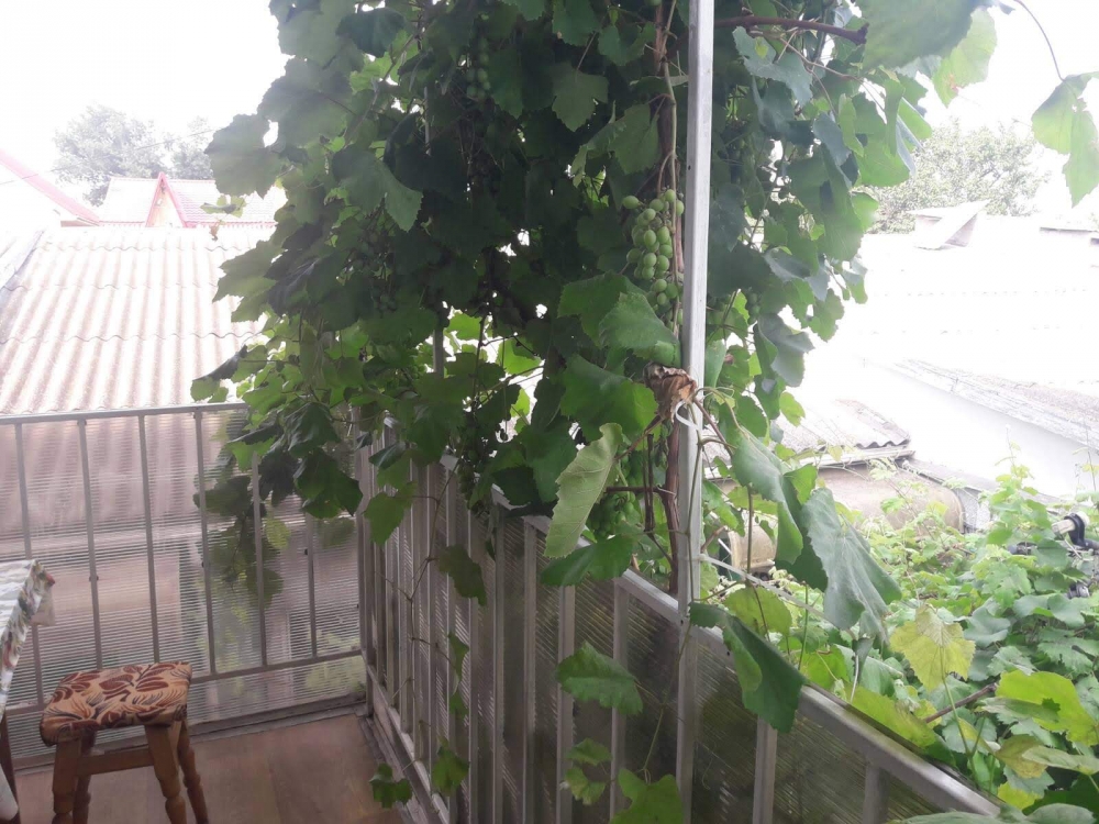 Мини-отель #13