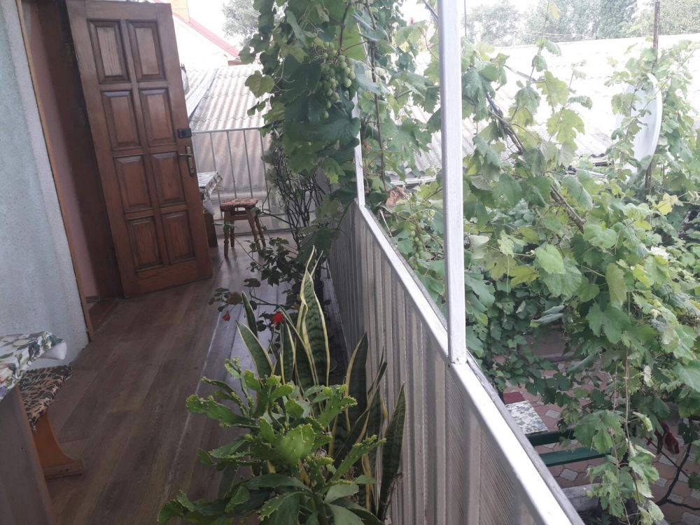 Мини-отель #14