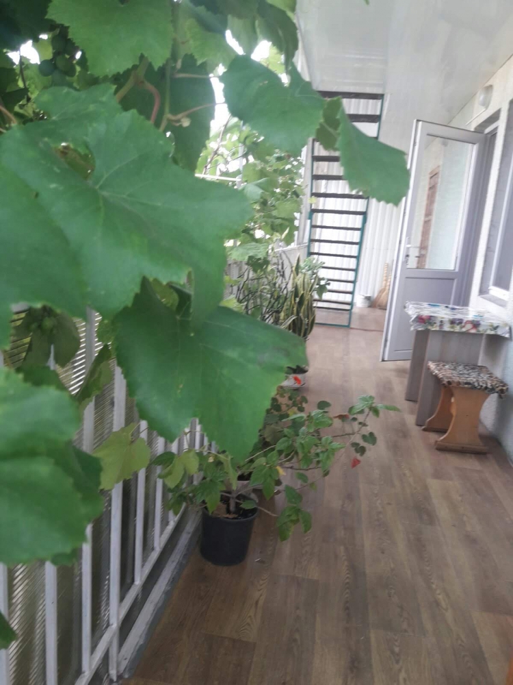 Мини-отель #15