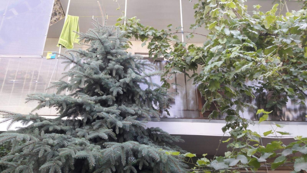 Мини-отель #17