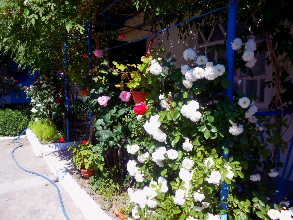 Гостиный двор 