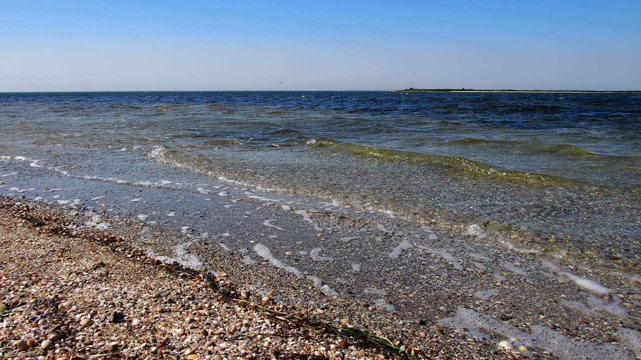 База отдыха 