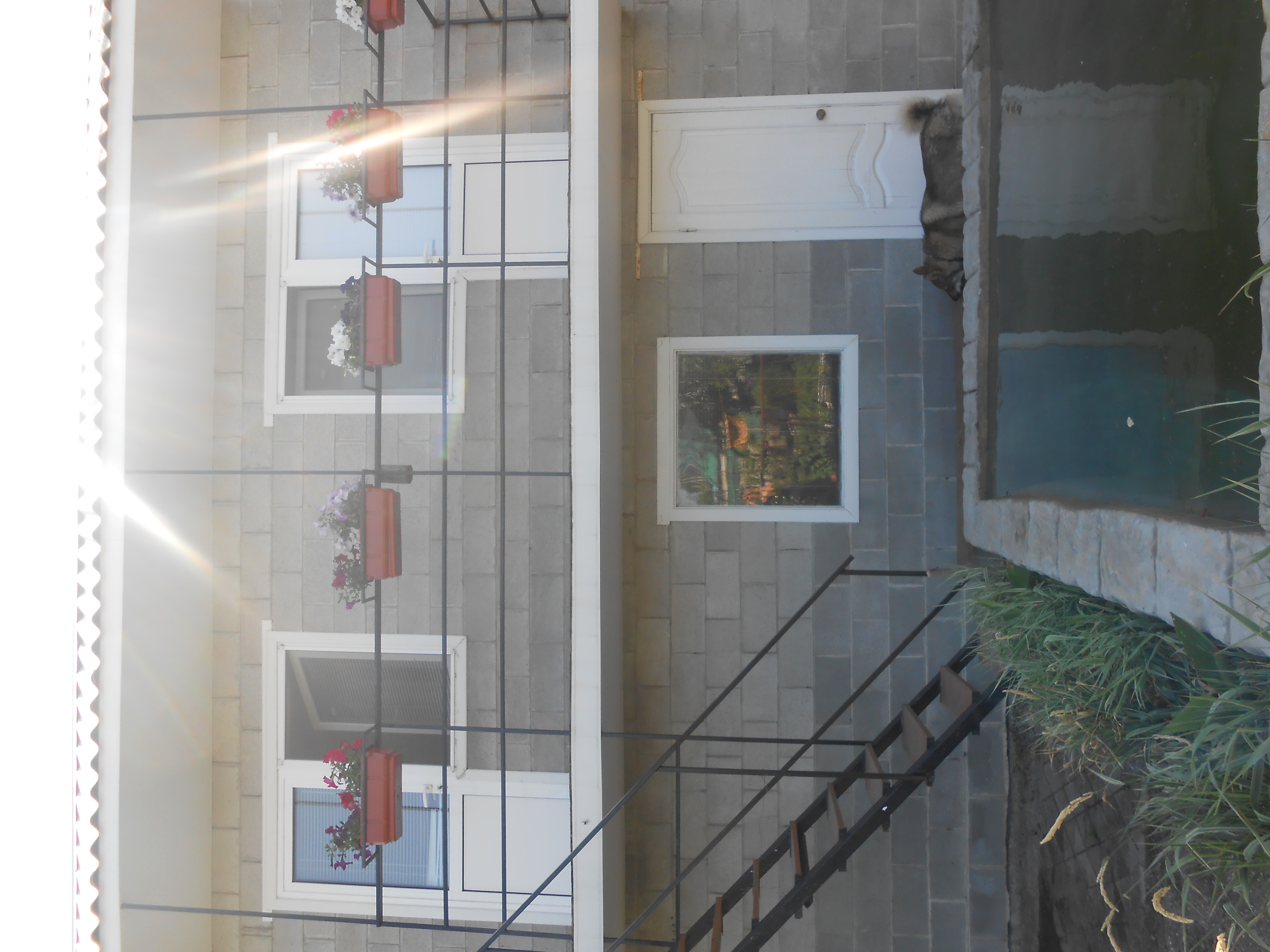 Бюджетный отдых солнечного Бердянска #2