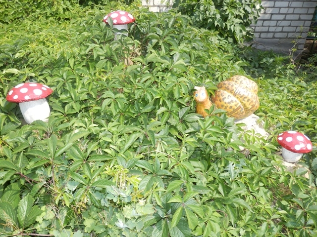 Садовая 46/2 #6