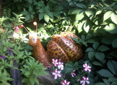 Садовая 46/2 #11