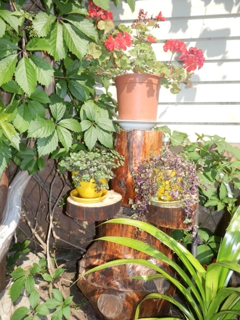 Садовая 46/2 #14