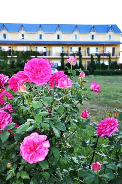 База отдыха 