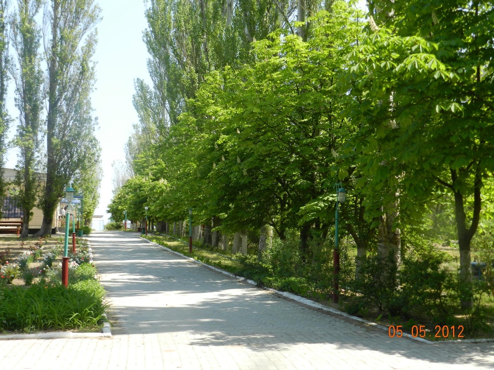 База отдыха 