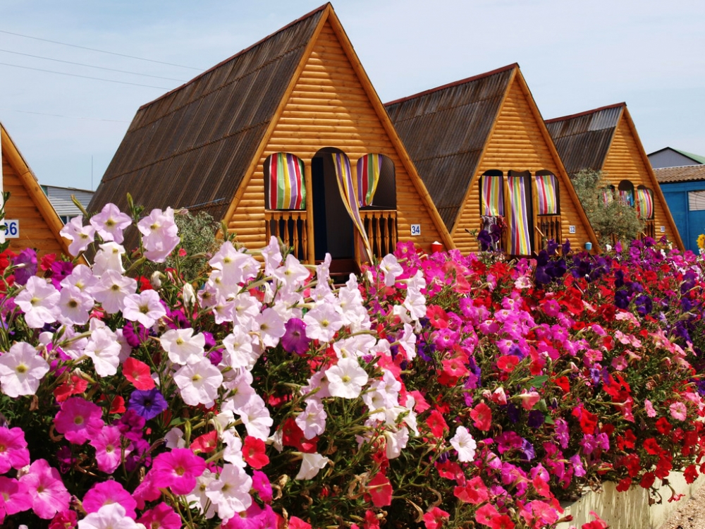 База отдыха 