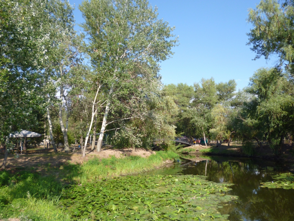 База отдыха 