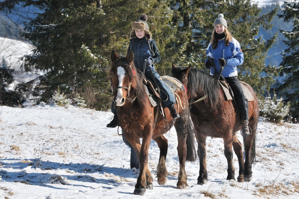 Аренда Палаточный лагерь в Усадьбе на берегу речки... #11