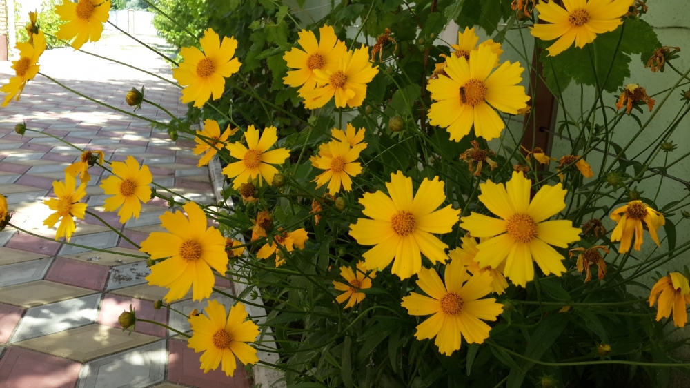 Частный пансионат Меридиан #18