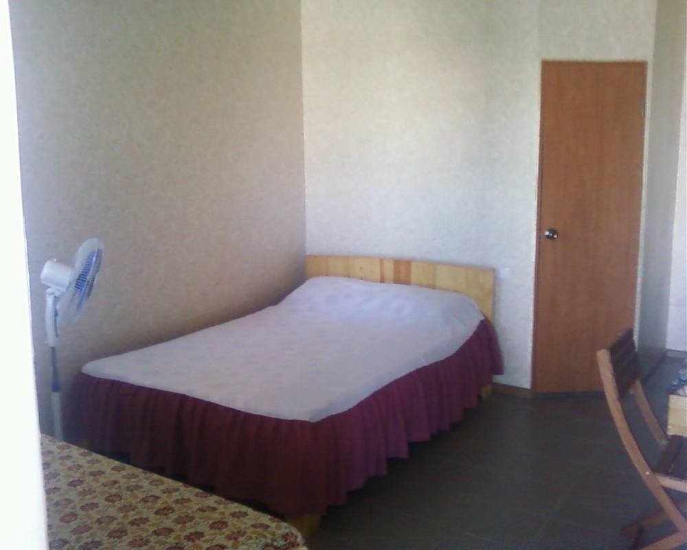 Можжевельник #2