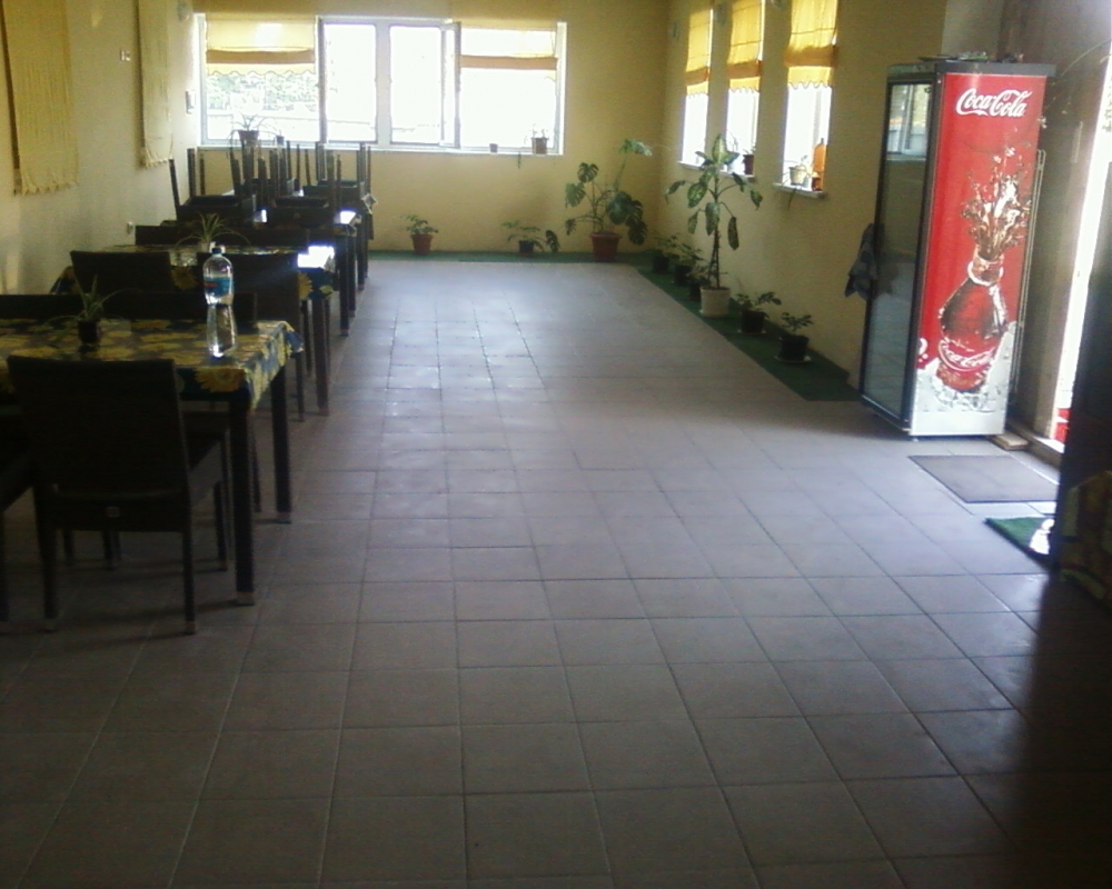 Можжевельник #3