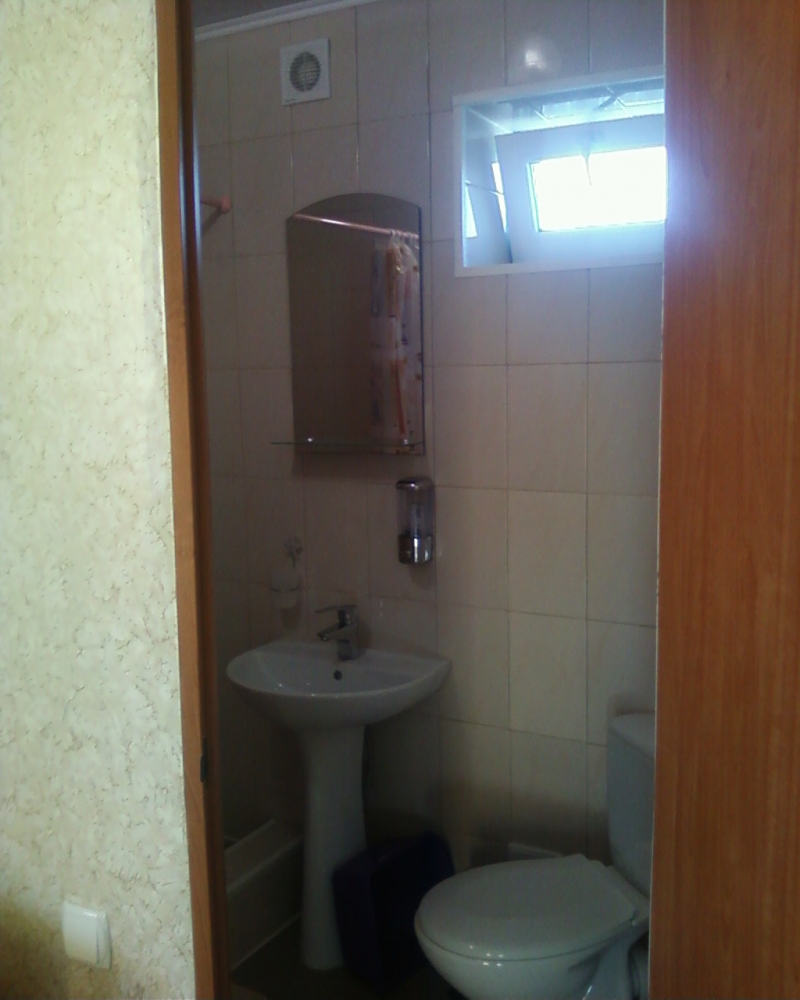 Можжевельник #6