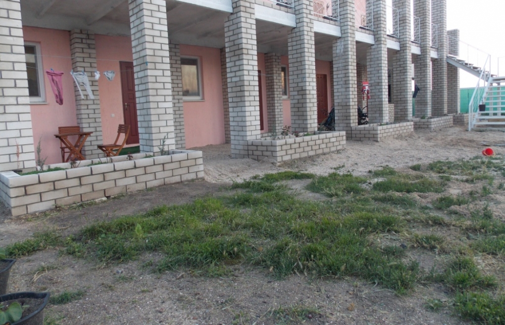 Можжевельник #10