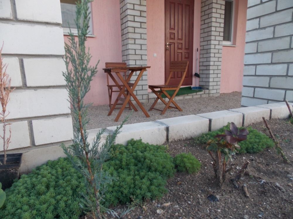 Можжевельник #11