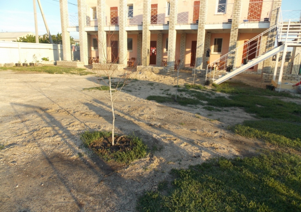 Можжевельник #12