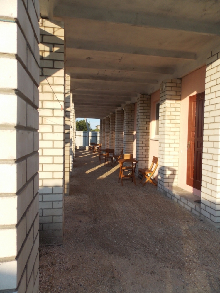 Можжевельник #14