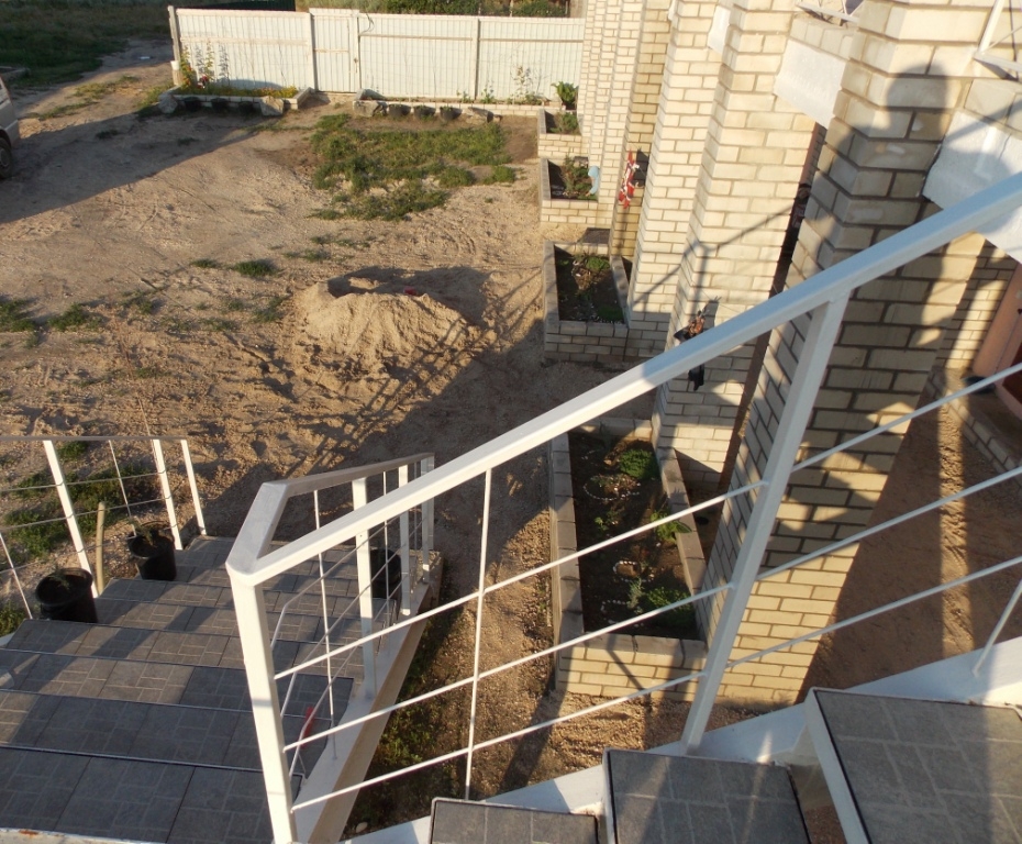 Можжевельник #15