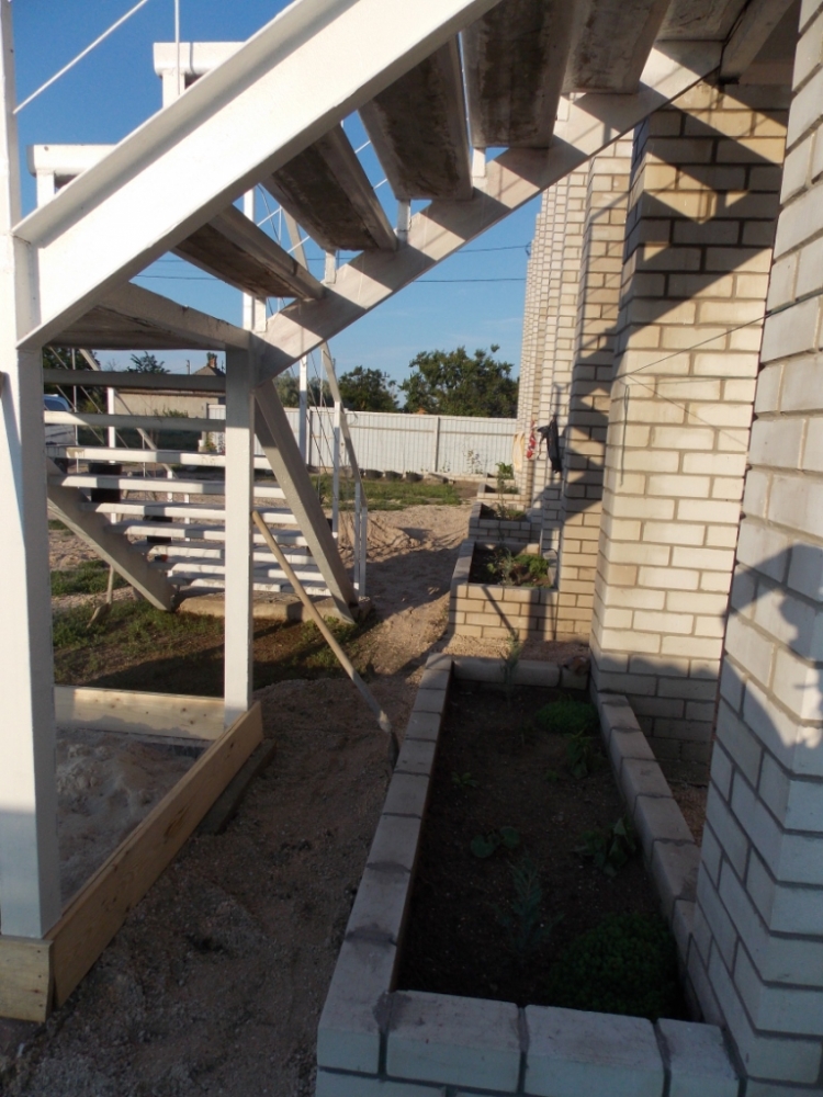 Можжевельник #16